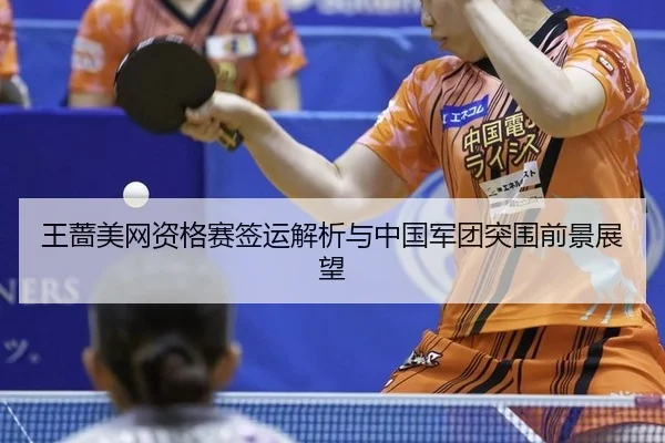 wang-qiang-mei-wang-zi-ge-sai-qian-yun-jie-xi-yu-zhong-guo-jun-tuan-tu-wei-qian-jing-zhan-wang-3-743.jpg