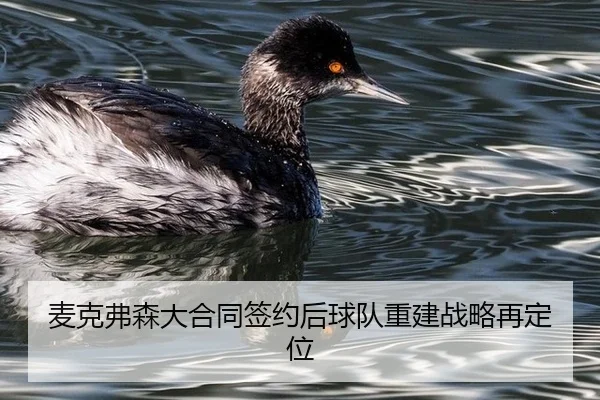 mai-ke-fu-sen-da-he-tong-qian-yue-hou-qiu-dui-chong-jian-zhan-lve-zai-ding-wei-2-327.jpg
